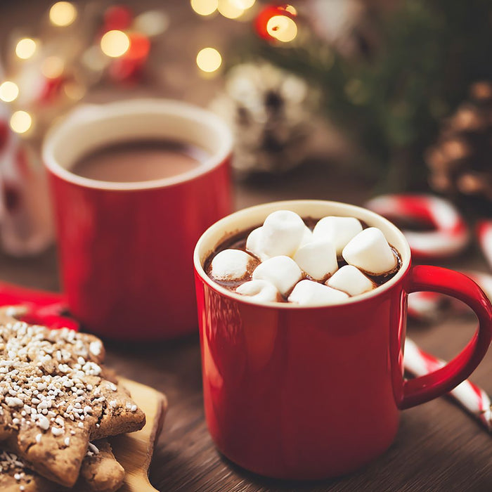 Chocolate Abuelita 1 kg