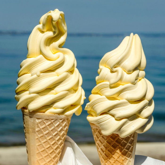 Vainilla Molino Real 4 LT