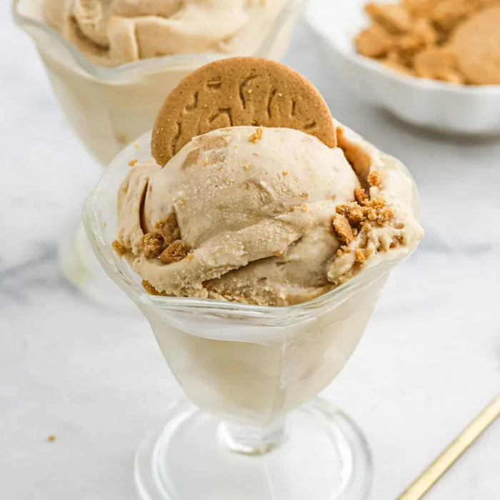 Base para bebidas y helados Frozen Bean Cookie Butter 1.360 Kg