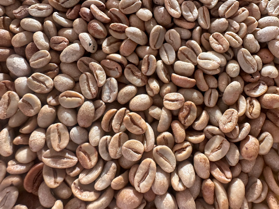 Café Chiapas Proceso Natural Nuestros Abuelos® Selección Premium