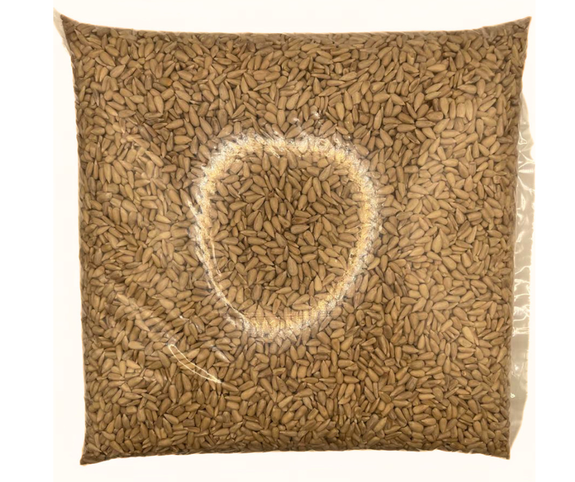 Bolsa de pepita de girasol kilada para topping
